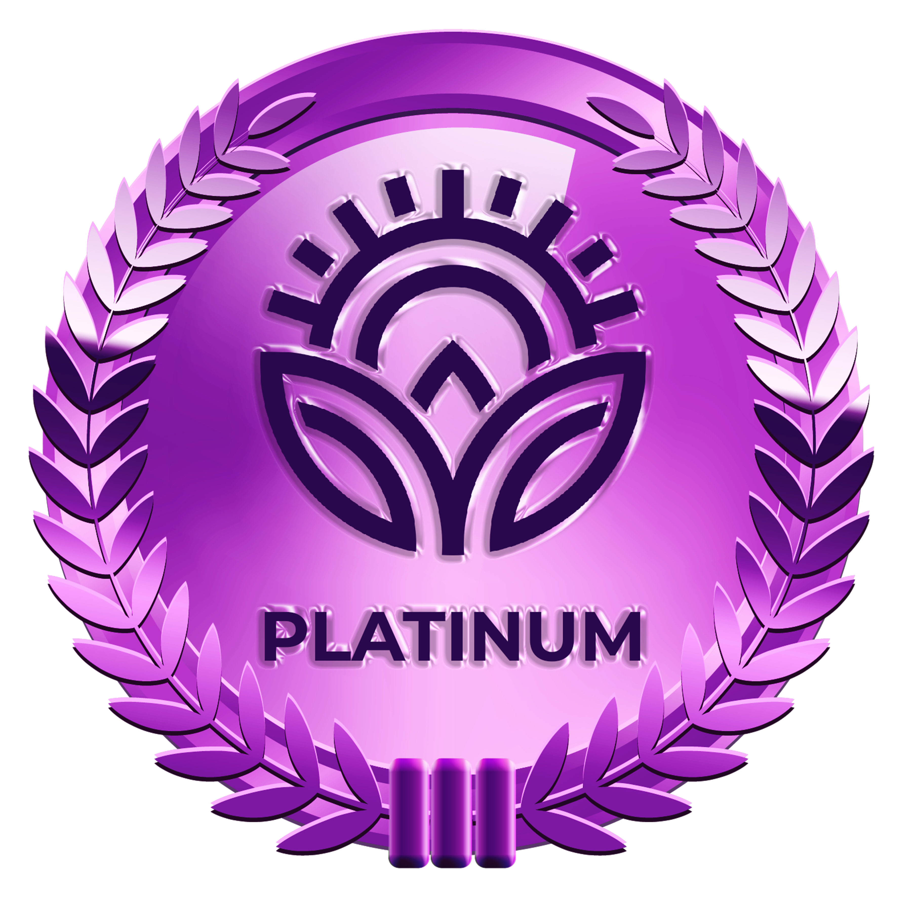 Platinum Package