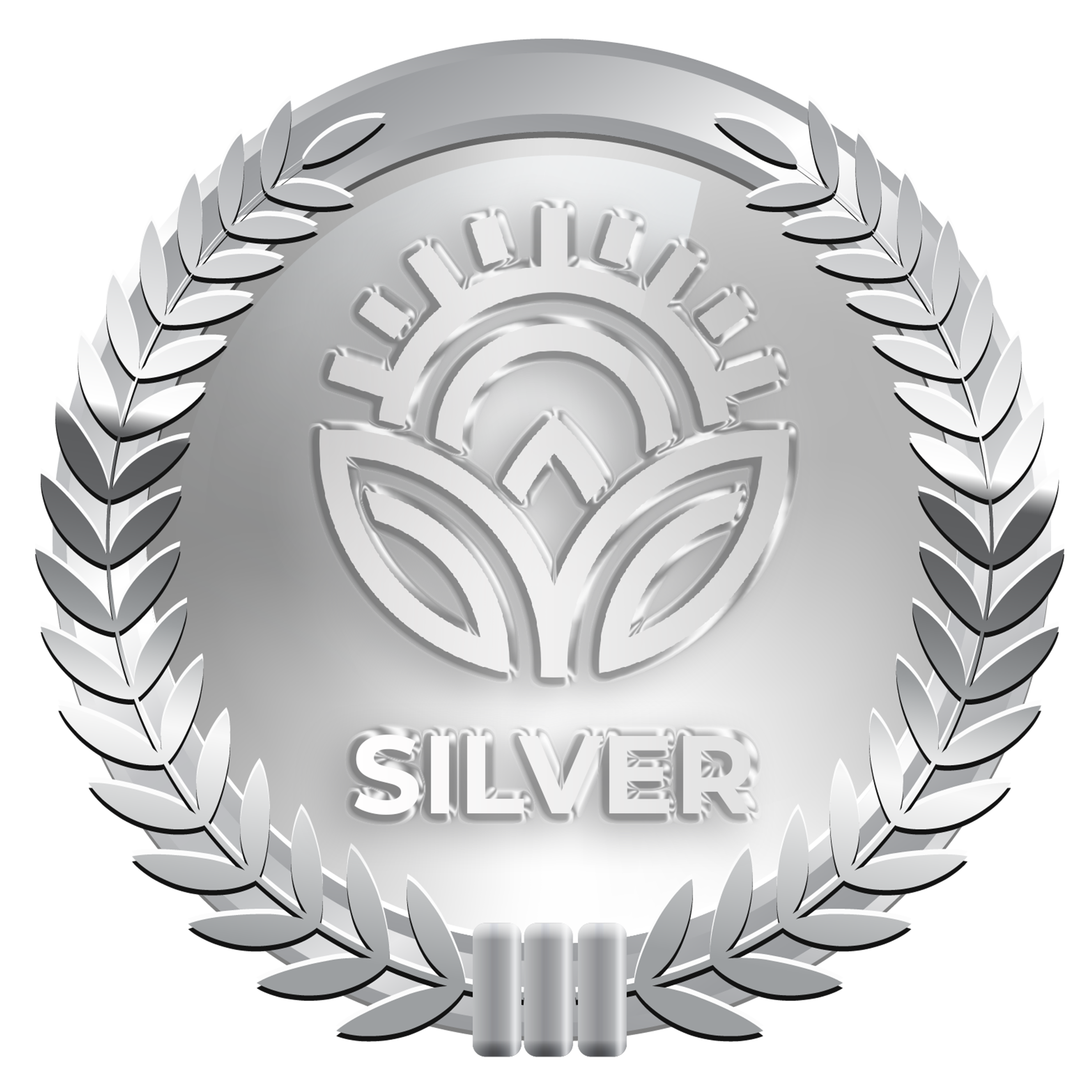 Silver Package